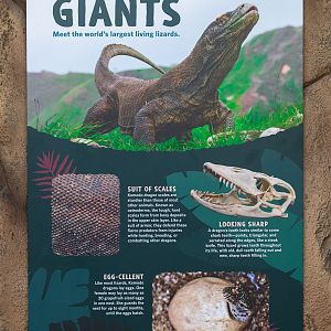 First Komodo Kingdom Signage