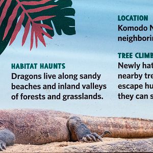 Komodo Kingdom signage