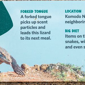 Komodo Kingdom signage