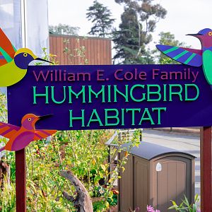 Hummingbird Habitat entrance signage/logo