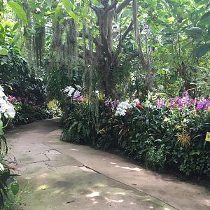 Flower dome- Nagasaki Bio Park