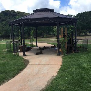 Mara Gazebo-Nagasaki Bio Park