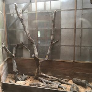 Walk through bug enclosure- Nagasaki Bio Park