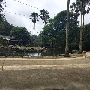 Capybara habitat- Nagasaki Bio Park