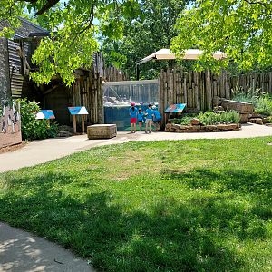 Humboldt Penguin Habitat Overview