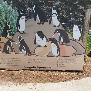 Humboldt Penguin Signage