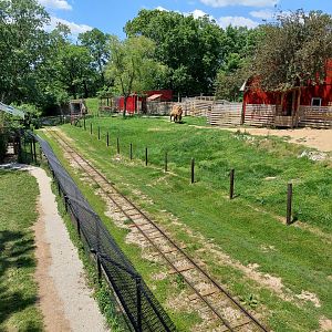 Bactrian Camel and Cheetah Exhibits
