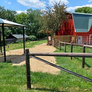 Bactrian Camel Enclosure Overview