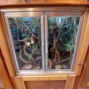 Gooty Sapphire Tarantula Enclosures