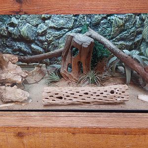 Snake Exhibit Example