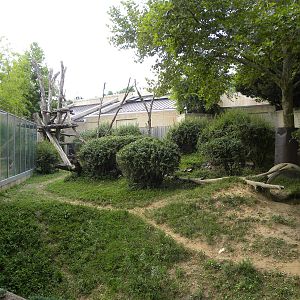 good gorilla exhibit