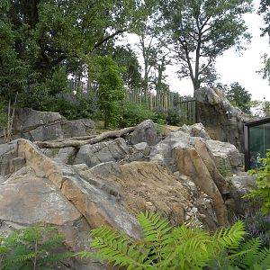 very good sloth bear exhibit