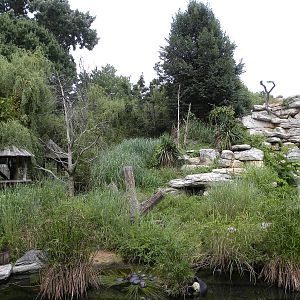 very good lemur exhibit