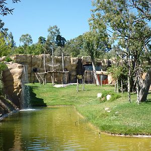 Chimpanzee enclosure