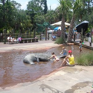play area - swim with manatees