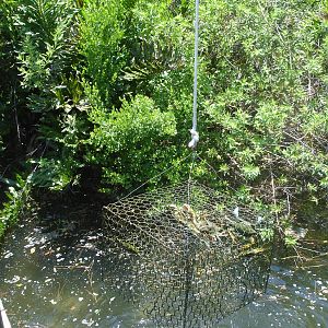 play area - pretend crab trap