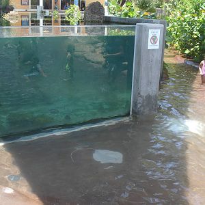 aquarium in play area