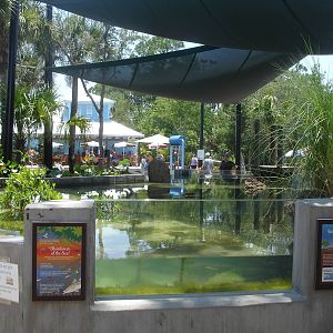 aquarium in play area
