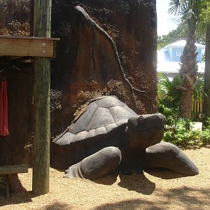 play area - gopher tortoise
