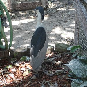 could someone turn on this hose please?