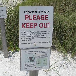 Protected nesting site - adjacent to sanctuary