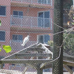 Scoping out apartments?