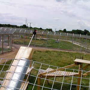 Tiger enclosure
