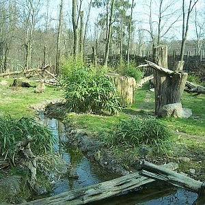 Jaguar Enclosure