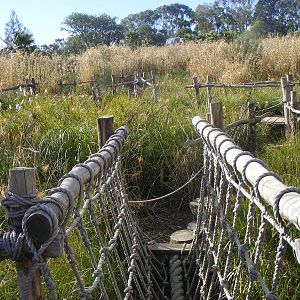 Play Trail at the Kubu River Hippos - July, 2009