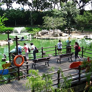 Pelican Cove, Jurong Bird Park