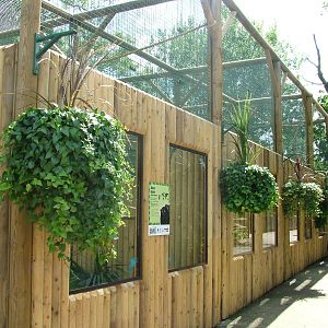 Lemur enclosures at Paradise WP, Broxbourne 25/07/09