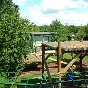 African Lion enclosure at Paradise WP, Broxbourne 25/07/09