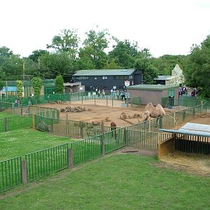 Paddocks at Paradise WP, Broxbourne 25/07/09