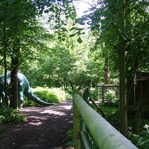 Woodland Walk at Paradise WP, Broxbourne 25/07/09