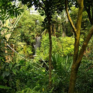 Masoala - Zoo Zürich