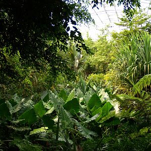 Masoala - Zoo Zürich