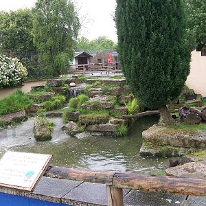 Otter enclosure
