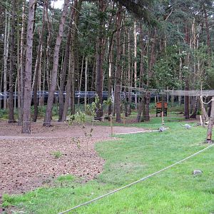 Lemur walkthrough enclosure