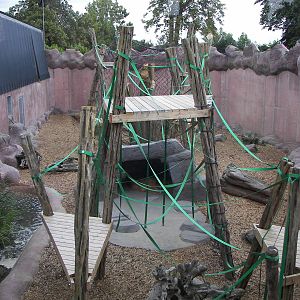 Orang-utan Forest outdoor