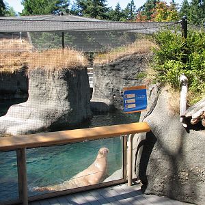 Rocky Shores - Walrus Exhibit