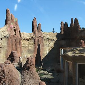 Kids Zone - Meerkat Exhibit