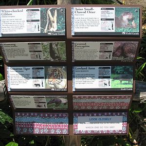 Asian Forest Sanctuary - Rotating Exhibit Species Signs