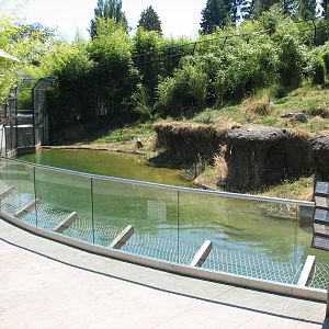 Asian Forest Sanctuary - Rotating Exhibit