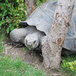 Is this dangerous or harmless?