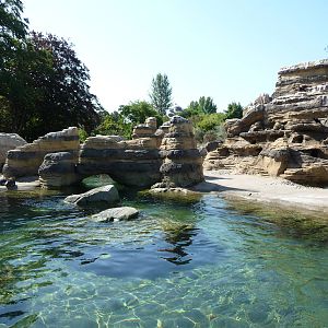 Humboldt Penguin Exhibit