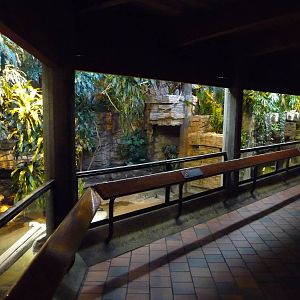Turtle Exhibit
