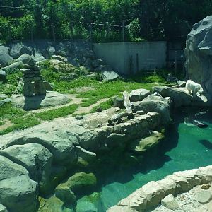 Polar bear exhibit