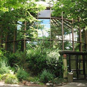 Africa - Vollum Aviary