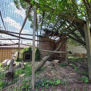Ring Tailed Lemur Enclosure