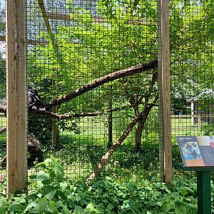 Spider Monkey Enclosure